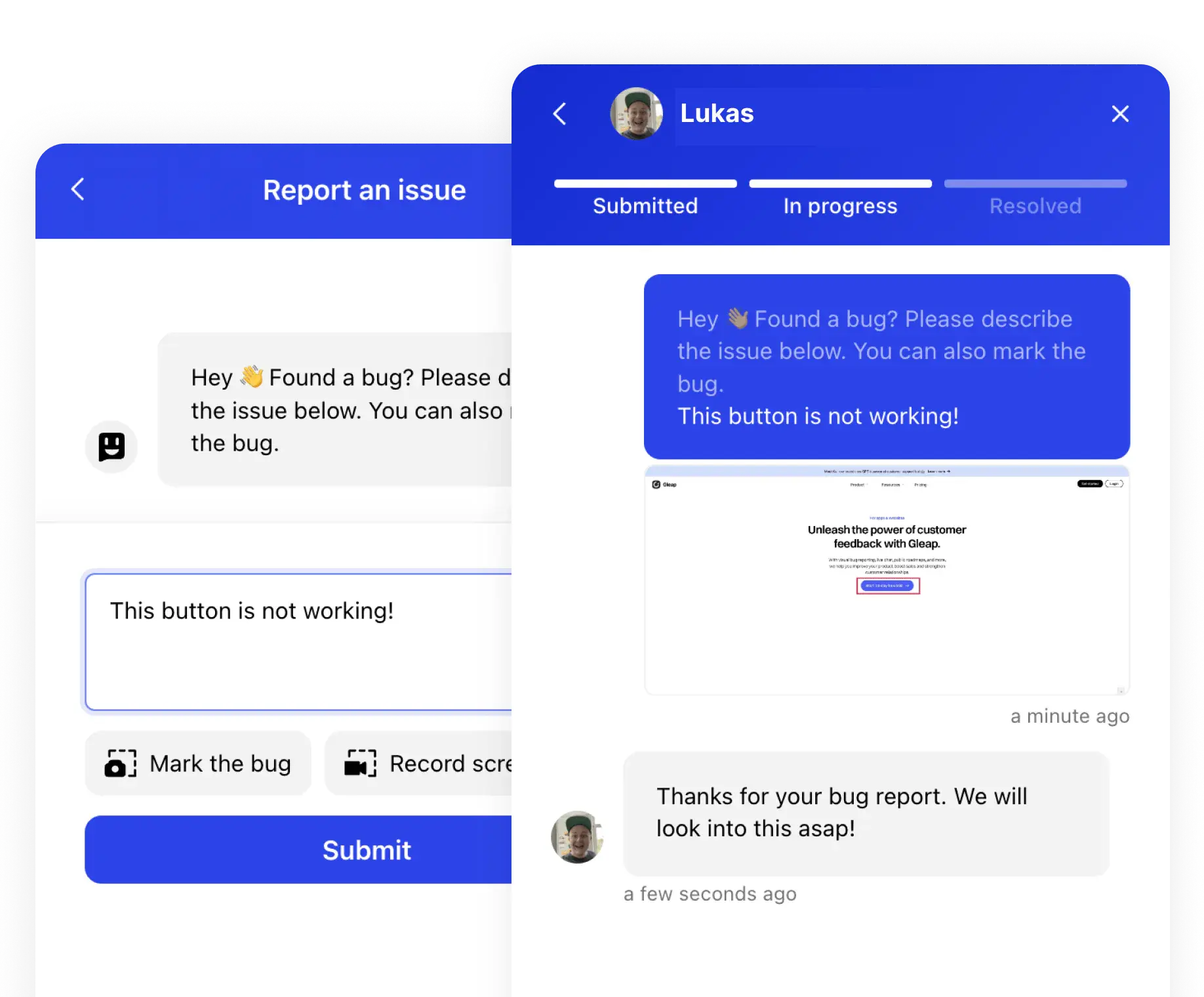 A website feedback report with session replay, logs, and metadata.